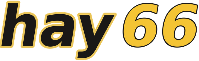 hay66 logo